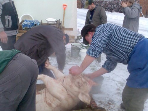 Vepřové hody - 29.12.2006